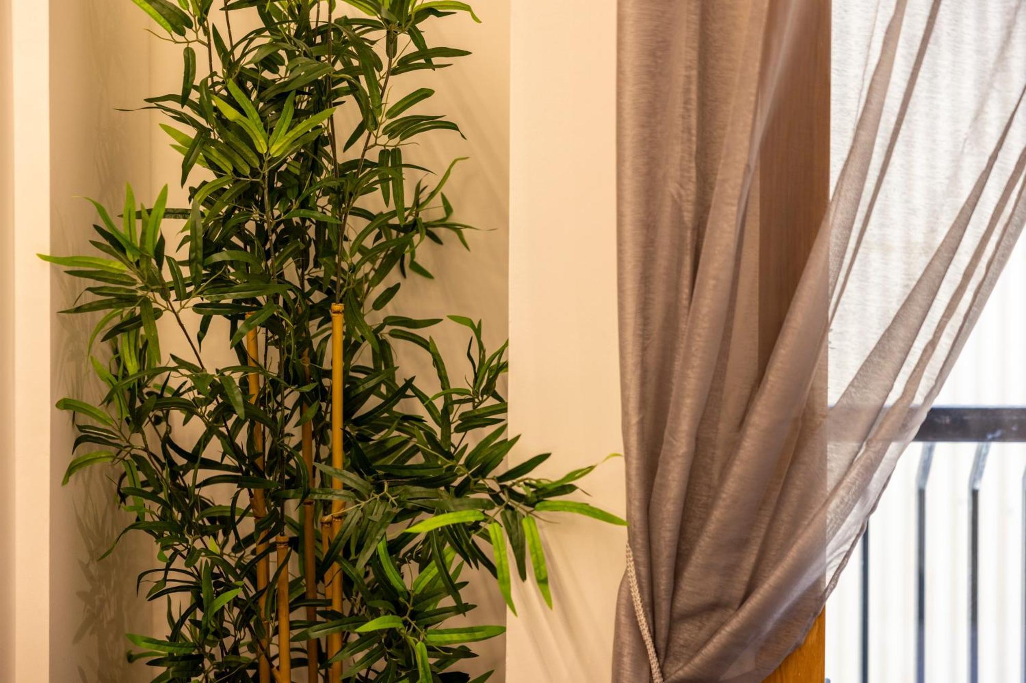 Estudio Para Grupos Pequenos En El Pas De La Casa - Centrico Exterior foto